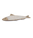 22.5” Fish Tray