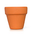 NORA FLEMING Can You Dig It?