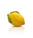 NORA FLEMING Lemon Squeeze