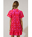 Celeste Blevin Ikat Mini Dress