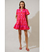 Celeste Blevin Ikat Mini Dress