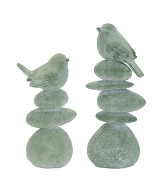 Bird on Rocks