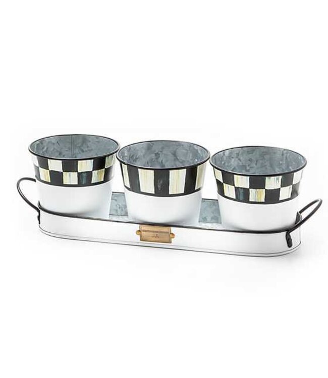 MACKENZIE CHILDS Spectator Galvanized Herb Pots