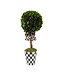 MACKENZIE CHILDS Courtly Boxwood Topiary Drop In