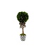 MACKENZIE CHILDS Courtly Boxwood Topiary Drop In