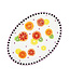 MACKENZIE CHILDS Tutti Frutti Platter