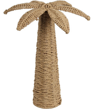 Palm Tree Reed