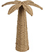 Palm Tree Reed