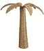 Palm Tree Reed