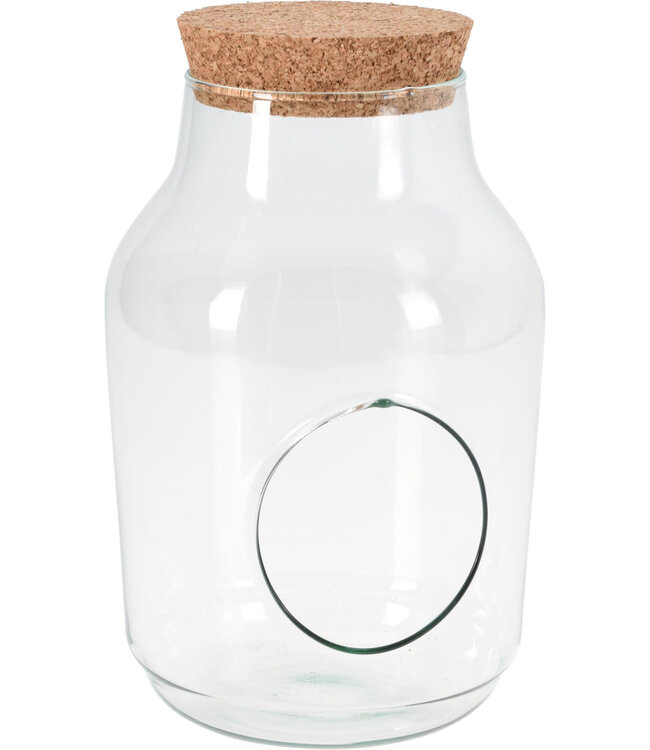 Terrarium Glass Recycled