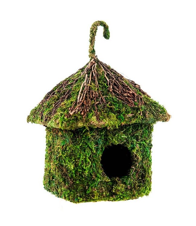 8 Inch Shack Vined Roof Deco Birdhouse -  Fresh Green