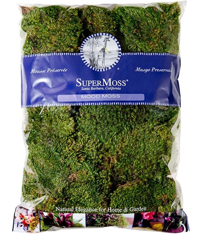 Mood Moss Preserved