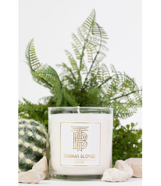 THOMAS BLONDE Blonde Candle - Signature Scent