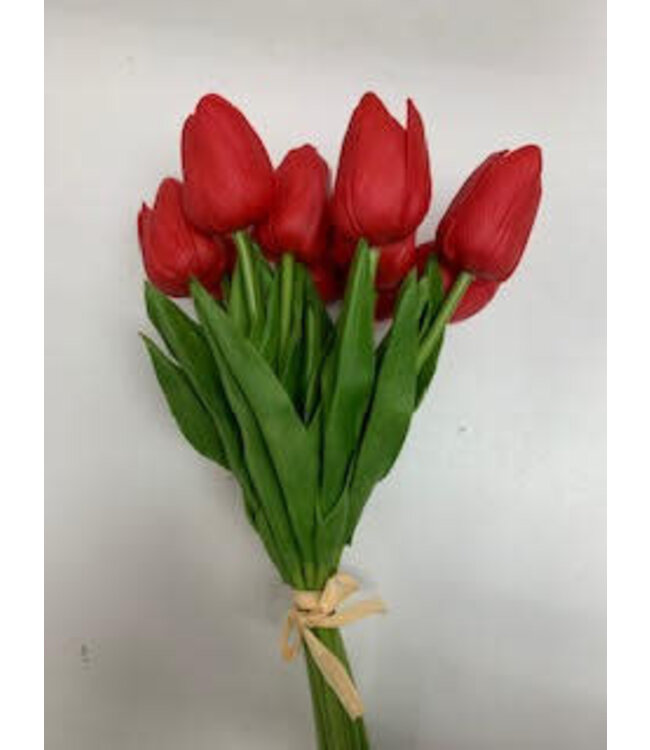 TULIP BOUQUET X9 13" RED