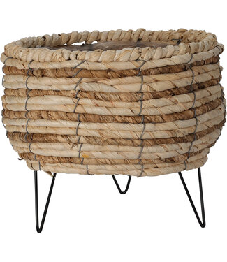 Basket Corn Leaf