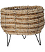 Basket Corn Leaf
