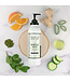 ARCHIPELAGO BOTANICALS Morning Mint Body Lotion 18oz