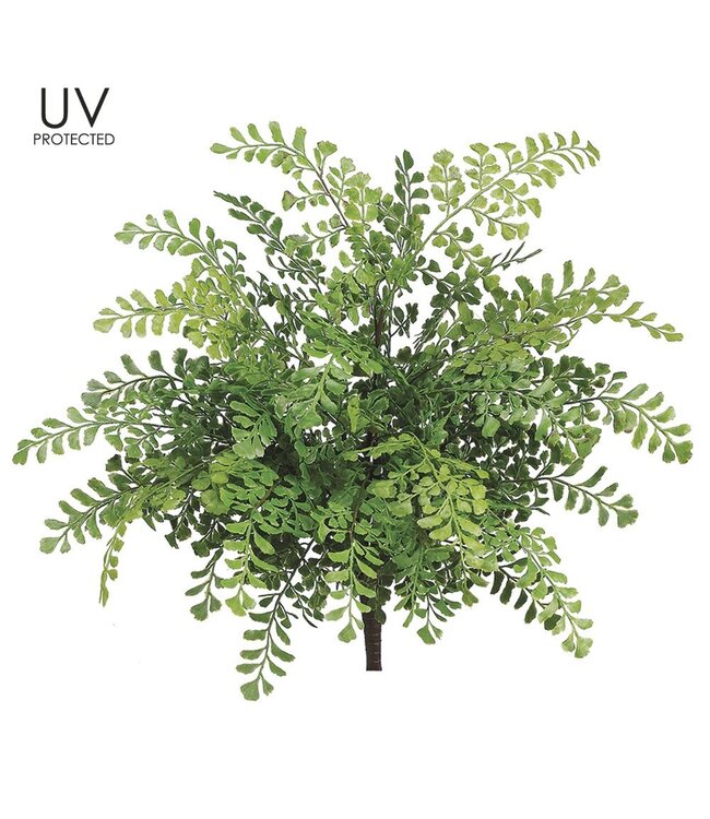 19" UV Protected Maidenhair Fern Bush Green
