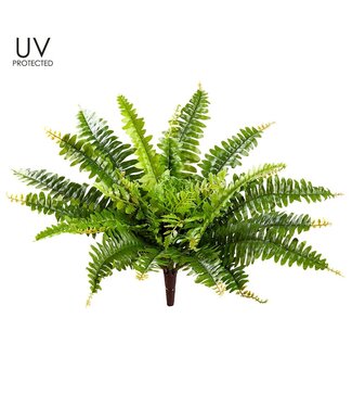 17" UV Protected Boston Fern Bush x32 Green