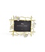 MICHAEL ARAM Butterfly Ginkgo Gold Frame