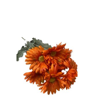 17 IN Gerbera Bush X 8
