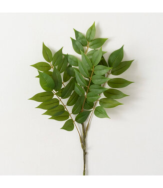 Bold Green Ruscus Spray