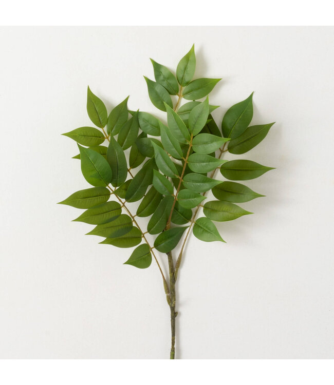 Bold Green Ruscus Spray