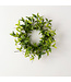6.5" Ruscus & Twig Ring