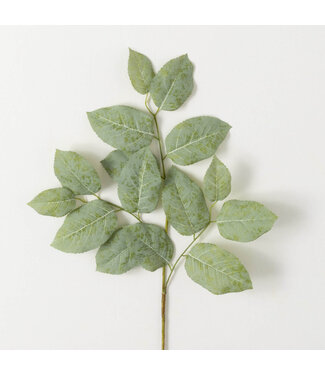 Long Lemon Leaf Spray