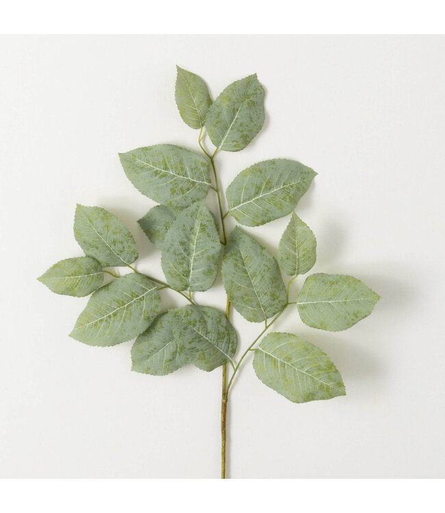 Long Lemon Leaf Spray