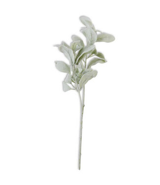 20" Lambs Ear Stem