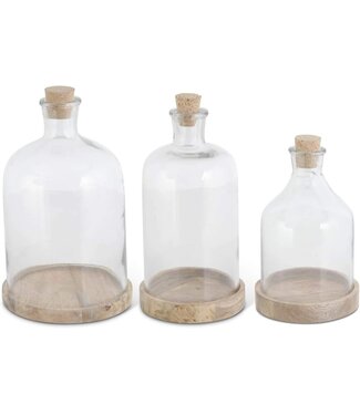 Glass Bottle Cloches on Wooden Base