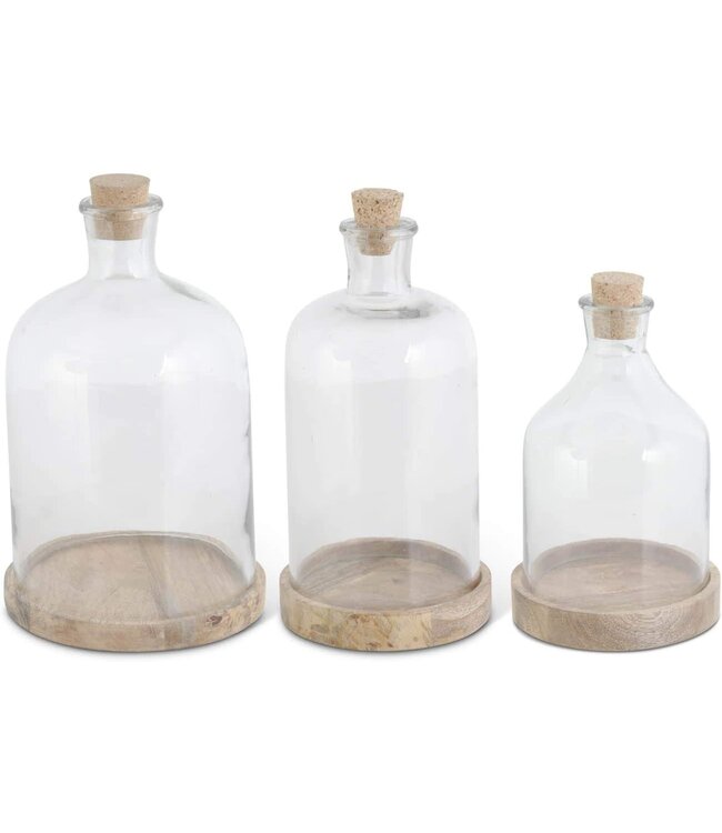 Glass Bottle Cloches on Wooden Base