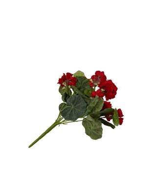 13" GERANIUM BUSH XS