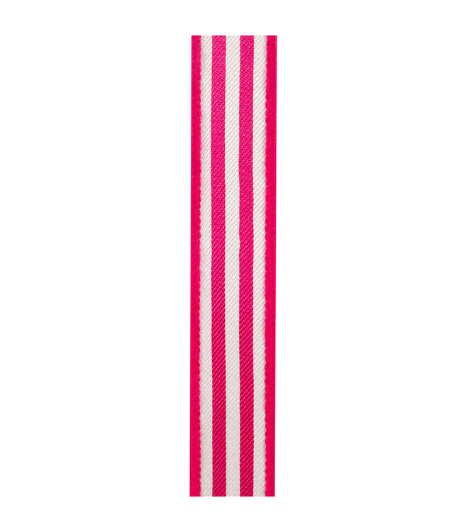 1 Inch Striped Twill Deluxe Dupioni Backed Wired Edge