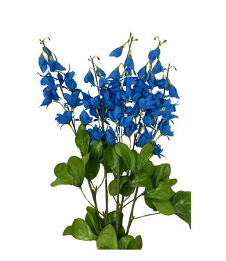 23" LUPINUS BUSH X5 BL