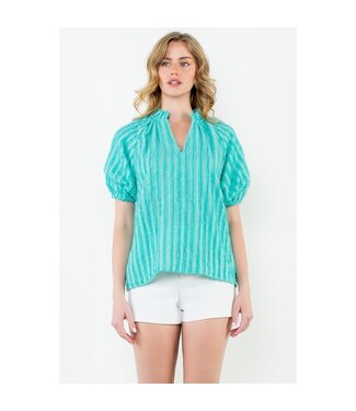 Sophie Puff Sleeve Textured V-Neck Top