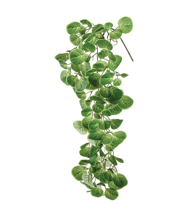 43" Nasturtium Vine Green