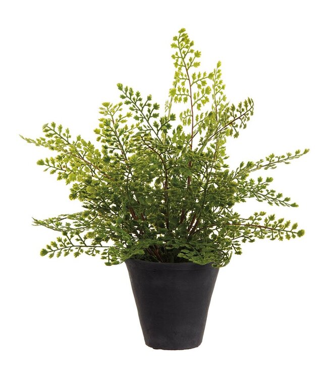 18" Soft PE Maidenhair Fern Plant in Cement Pot Green