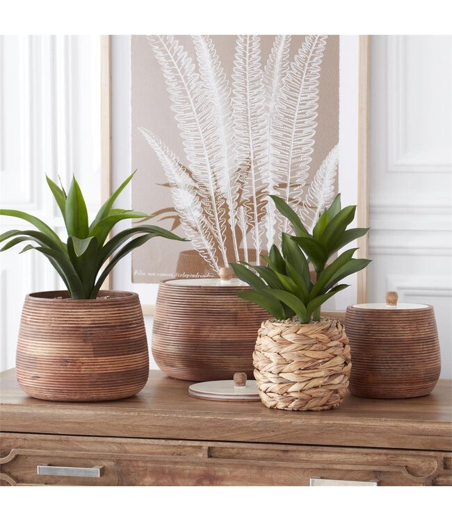 Ribbed Mango Wood Canisters