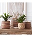 Ribbed Mango Wood Canisters