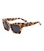 Sofia - Sunshine Tort/ Smoke Polarized Lens