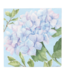 Cocktail Napkin Hydrangea