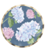 Salad Plate Hydrangea