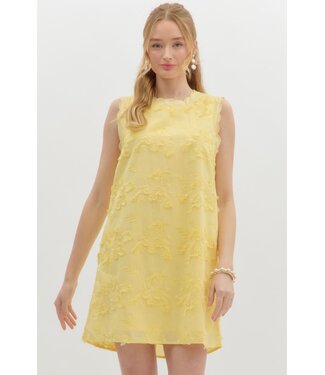 Eliana 3D Floral Appliqué Sleeveless Pullover Mini Dress