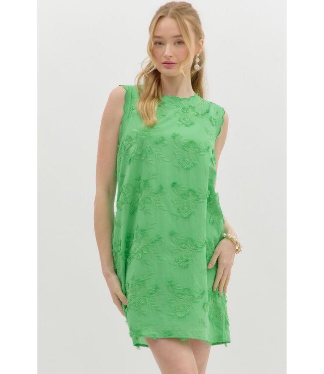 Eliana 3D Floral Appliqué Sleeveless Pullover Mini Dress