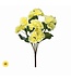 17" UV Summer Reiger Begonia Plant