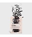 KITSCH No Snag Elastics