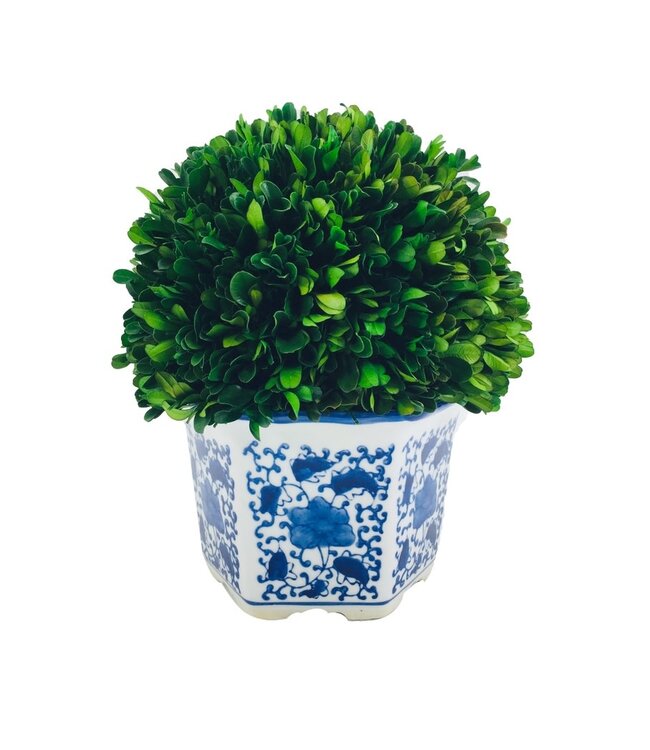 Boxwood Ball Topiary in Hexagon Blue & White Ceramic Pot