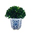 Boxwood Ball Topiary in Hexagon Blue & White Ceramic Pot